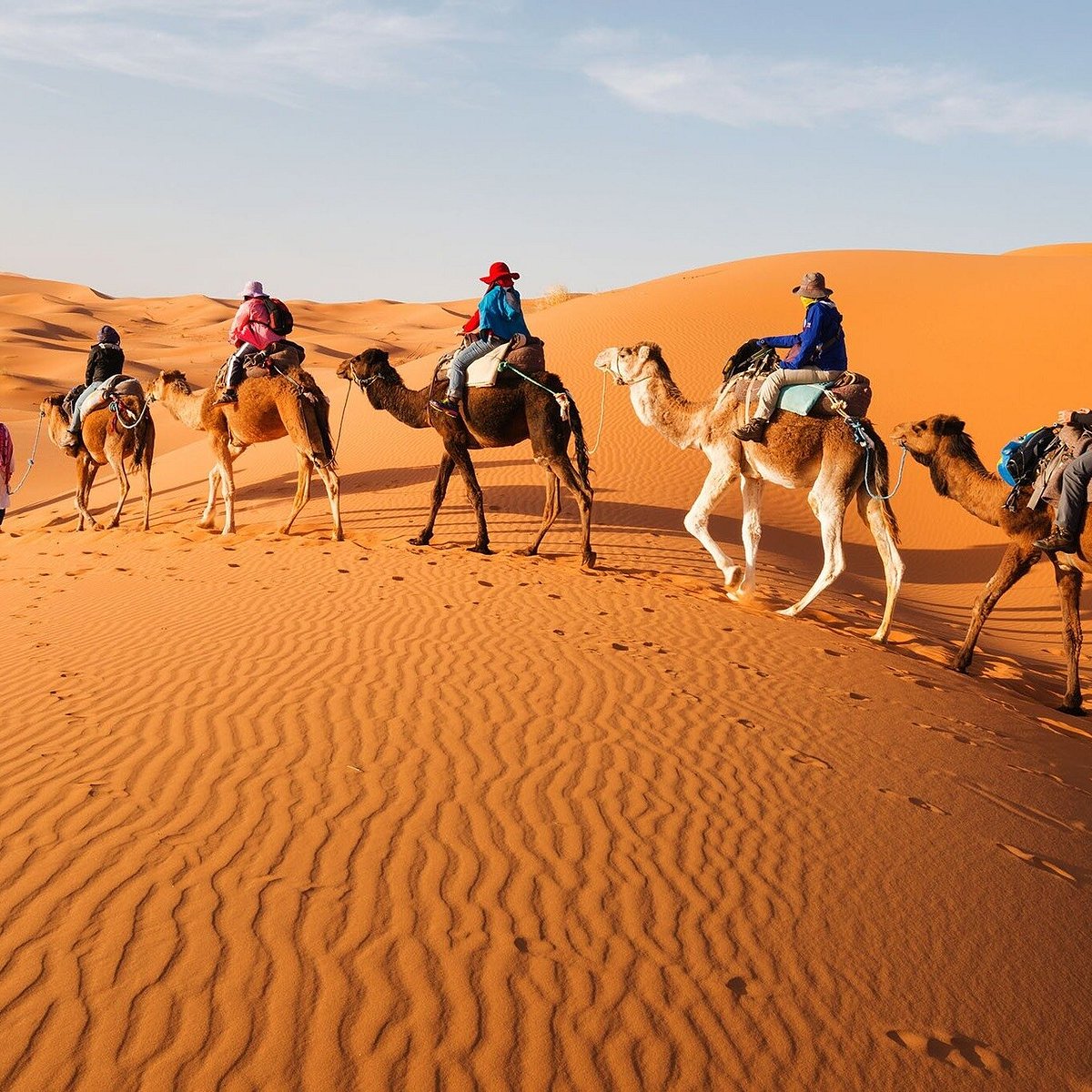 Camel Trekking